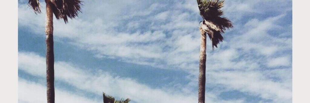 Marta_Leon3's profile banner image