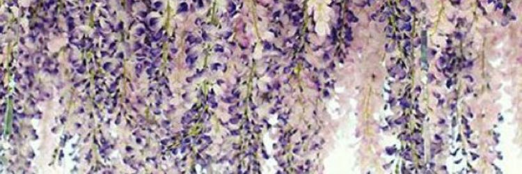 sweetlybroken95's profile banner image