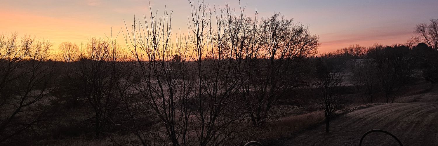 CatFace Pony soldier banner