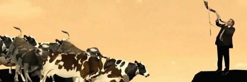 BarbossaBeta's profile banner image