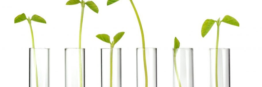 Cardolite Coporation banner