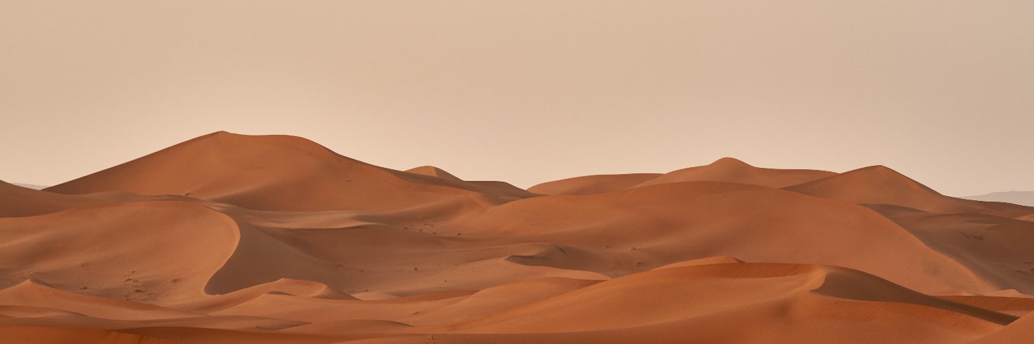 neyits's profile banner image