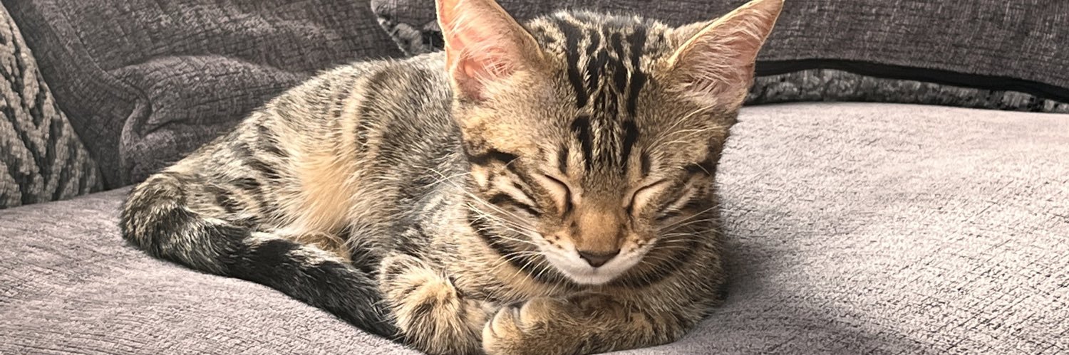 MissChloe_J's profile banner image