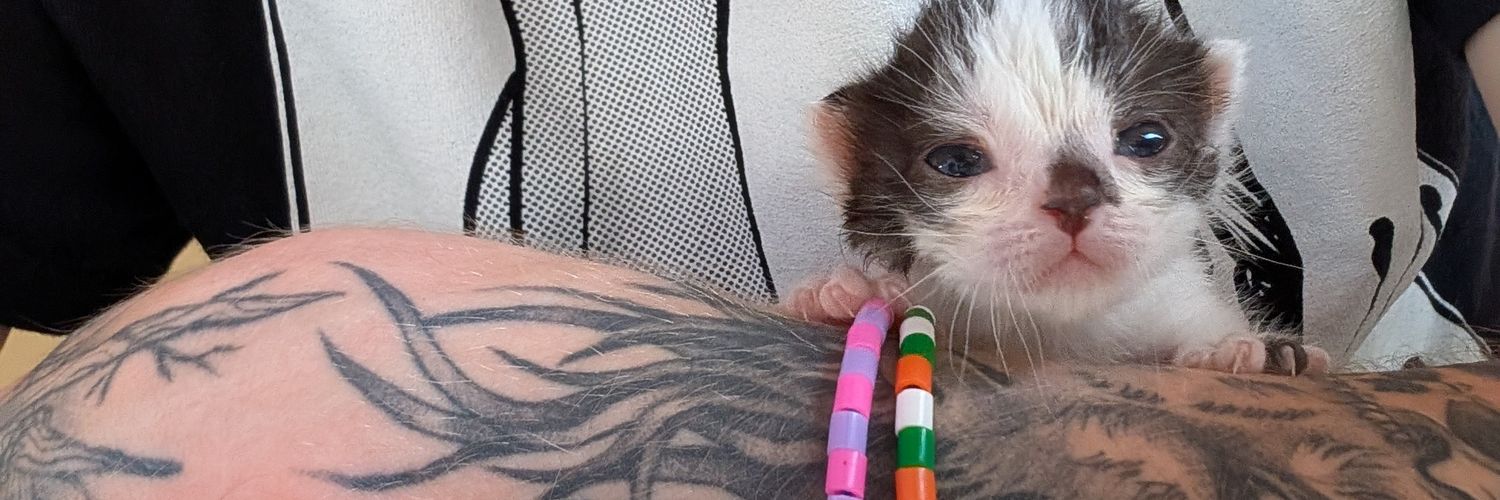 Weighty Tome 🇮🇪 banner