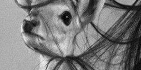 smoooha3's profile banner image