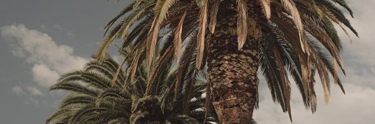 Meryl Cunningham banner