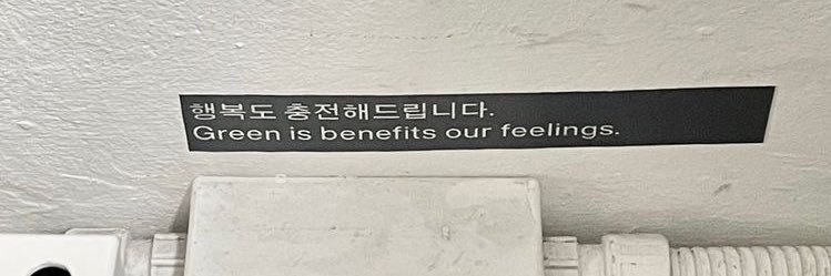 bibi banner