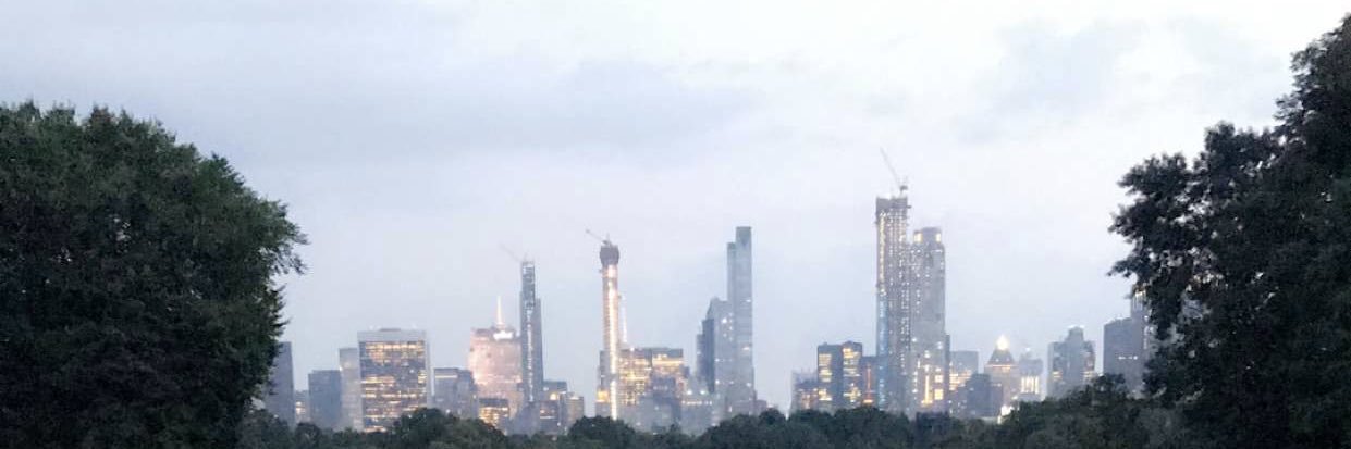 bujarsefa's profile banner image