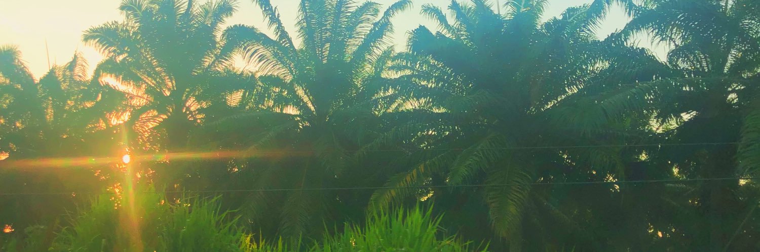 olivia_conrow's profile banner image