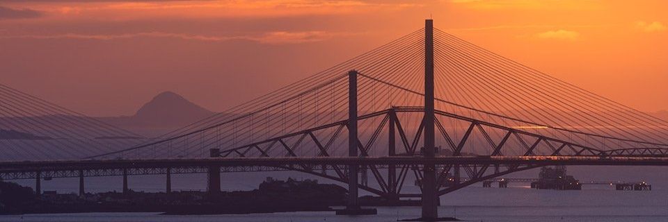 AmyKoalaSouter's profile banner image