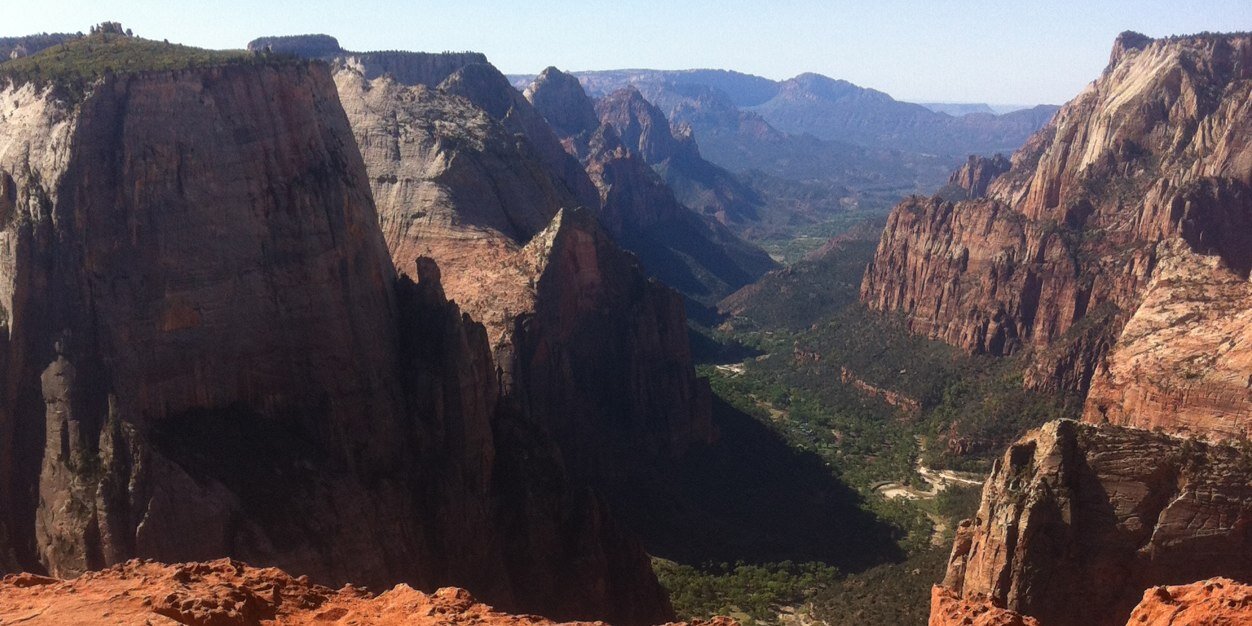 Sandra Cotton banner