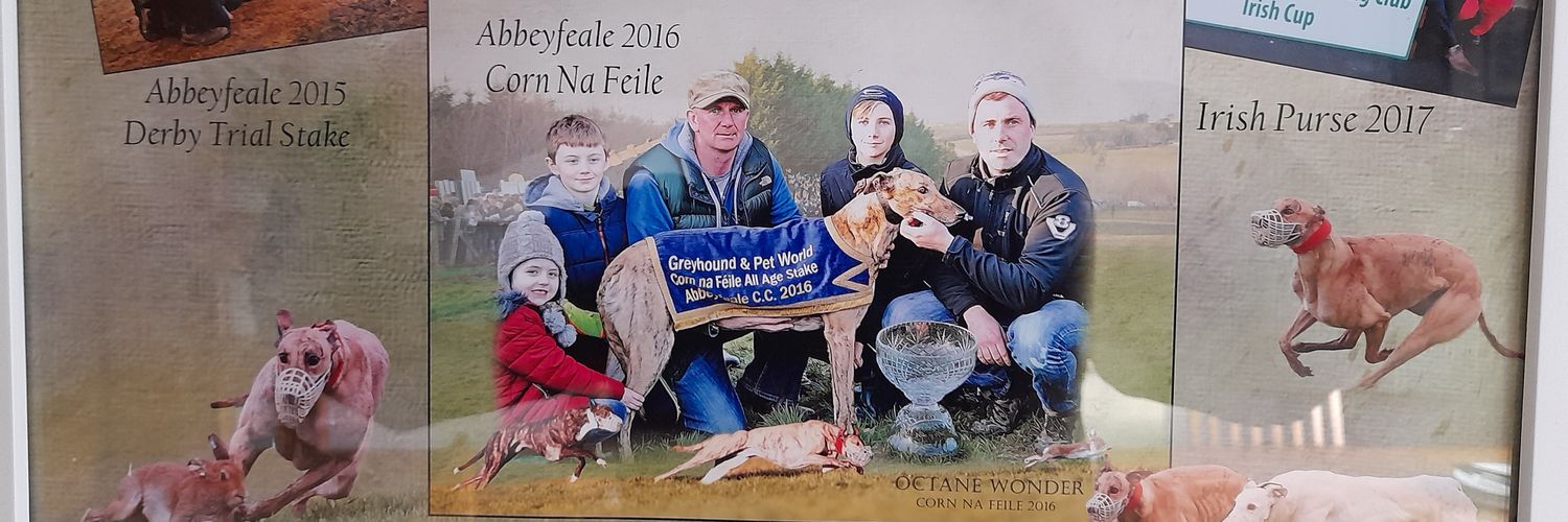 James o connor banner