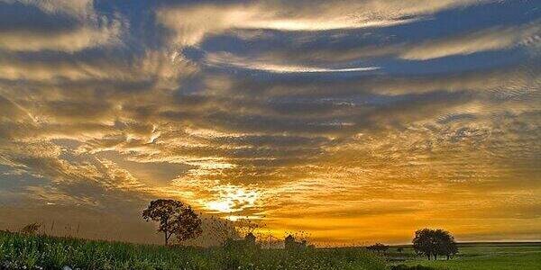 c_sabios's profile banner image