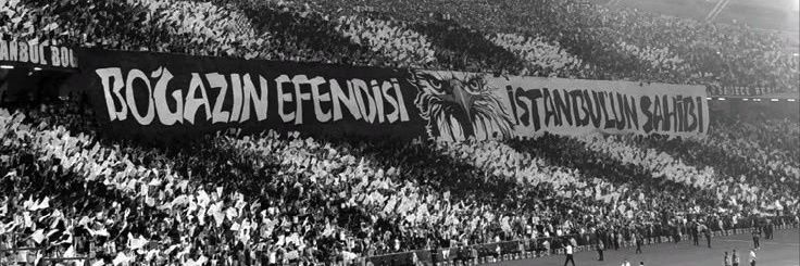 AynurKoglu's profile banner image
