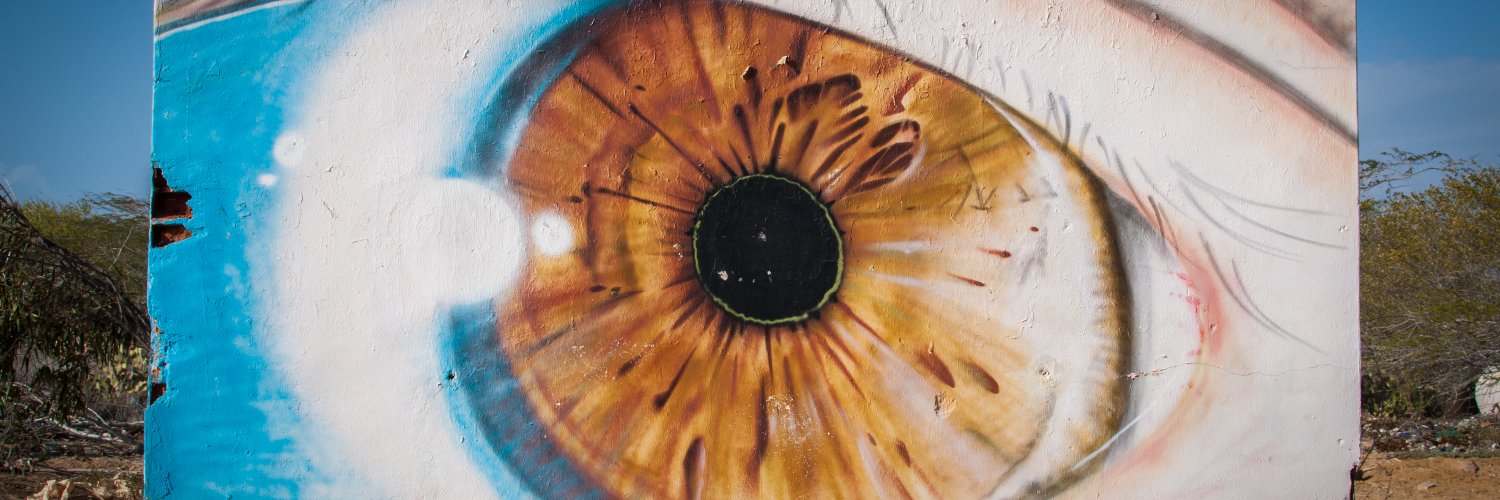 samontenegro's profile banner image