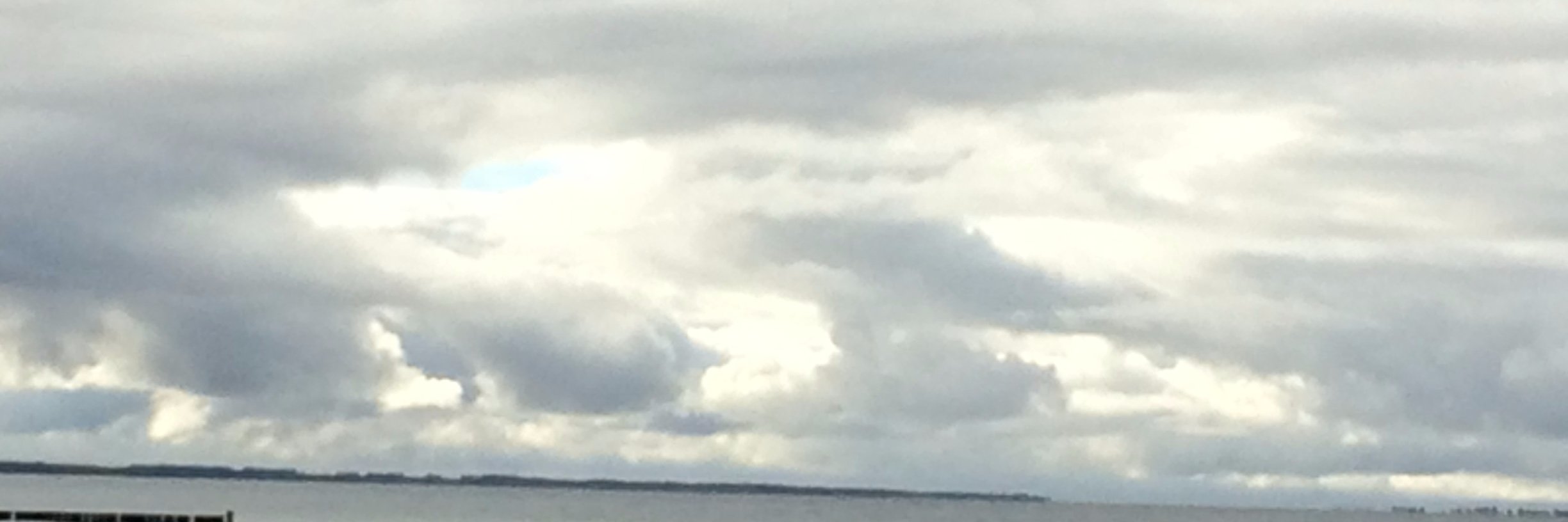 Susanne Burkhardt banner