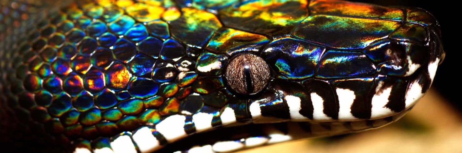 JohnJohnmahar's profile banner image
