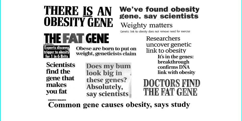 T2Diabetesgenes's profile banner image
