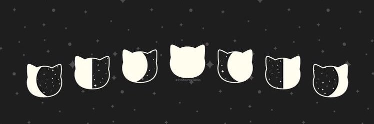 SoYukesha's profile banner image