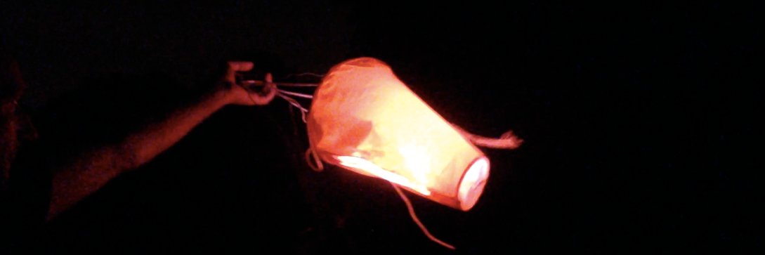 laura pullig banner