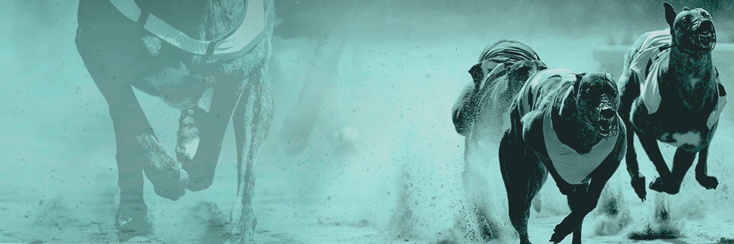 UKDogRacing's profile banner image