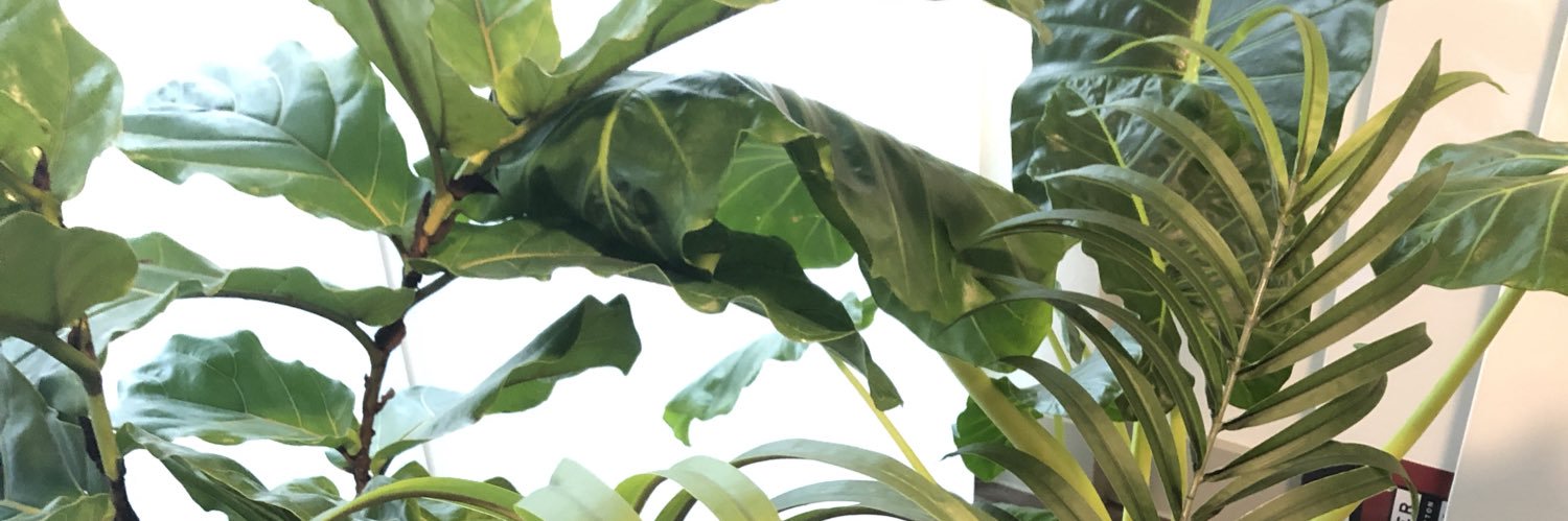 Terran Washington banner