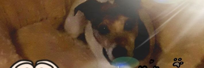 Heather Wearden banner