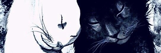 frowzy banner
