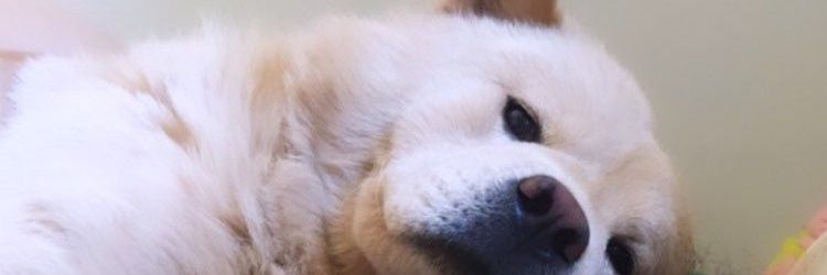 jaosousa3's profile banner image