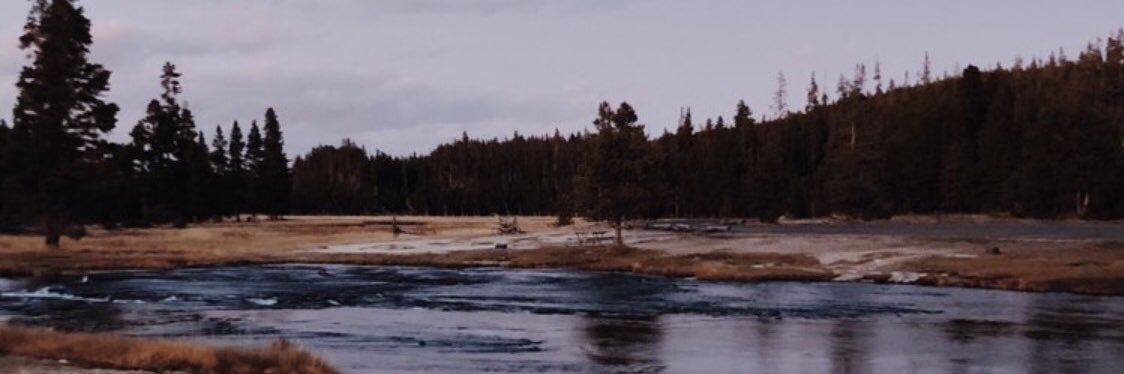 hannahvaness's profile banner image