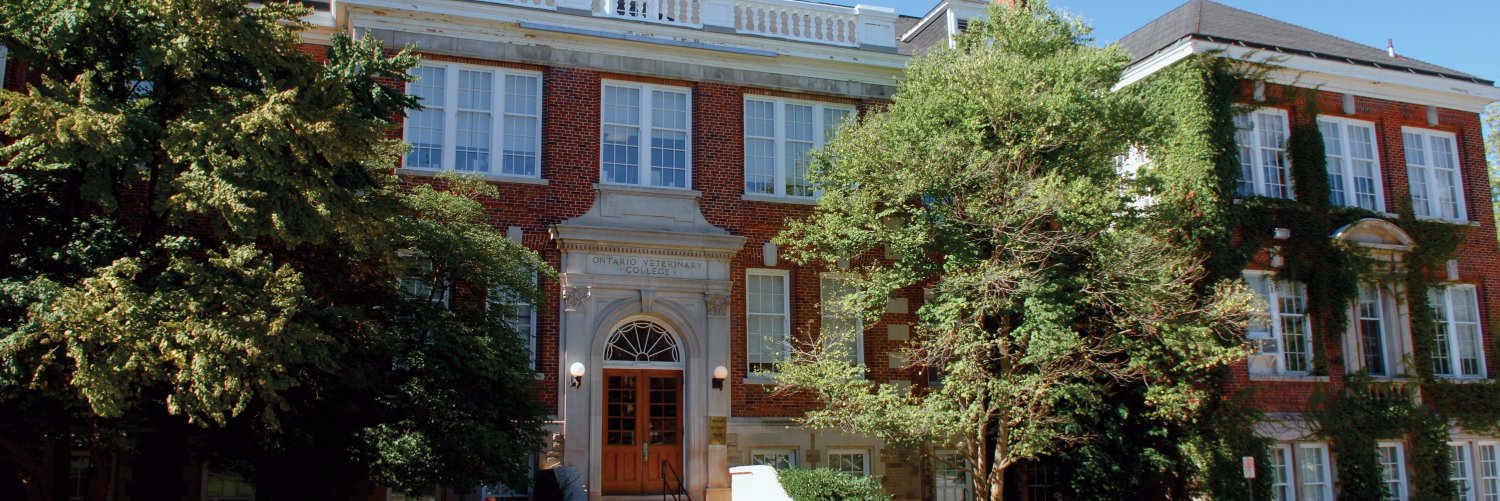 Brandon Lillie banner