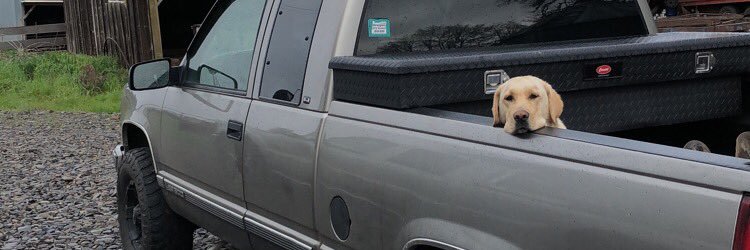 wtc234's profile banner image
