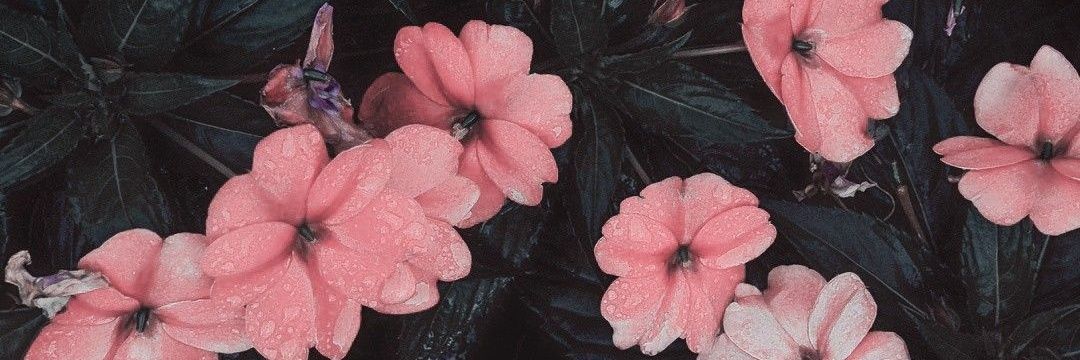 Lia_Wuliani's profile banner image