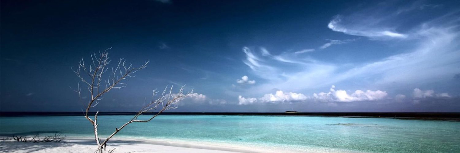 Hadeer33's profile banner image
