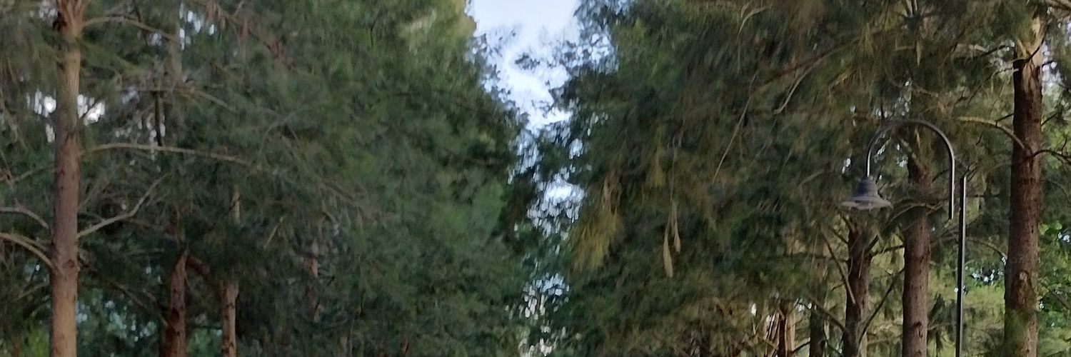 LoaAC's profile banner image