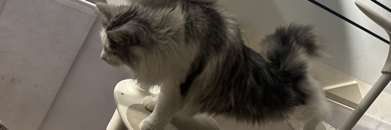 SMonokuro's profile banner image