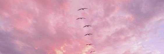 human907z's profile banner image