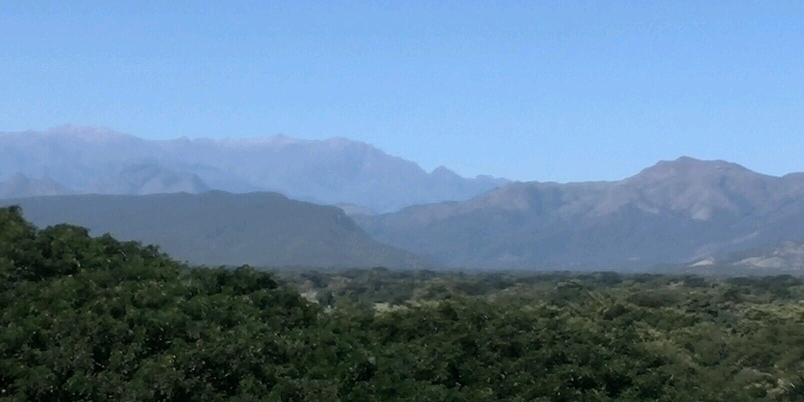 Jainer Sardoth B banner