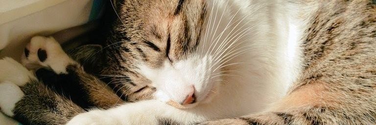 fi_no95's profile banner image