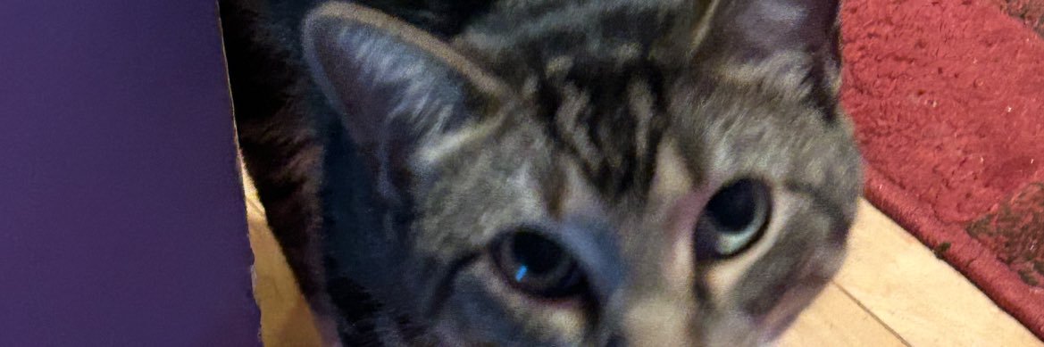 Zottali's profile banner image