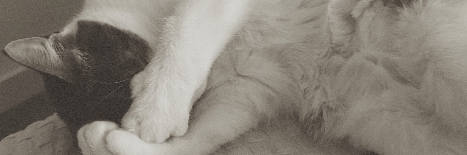 Sanndra_RB's profile banner image