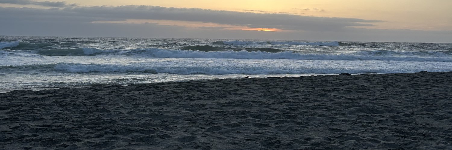 becca banner