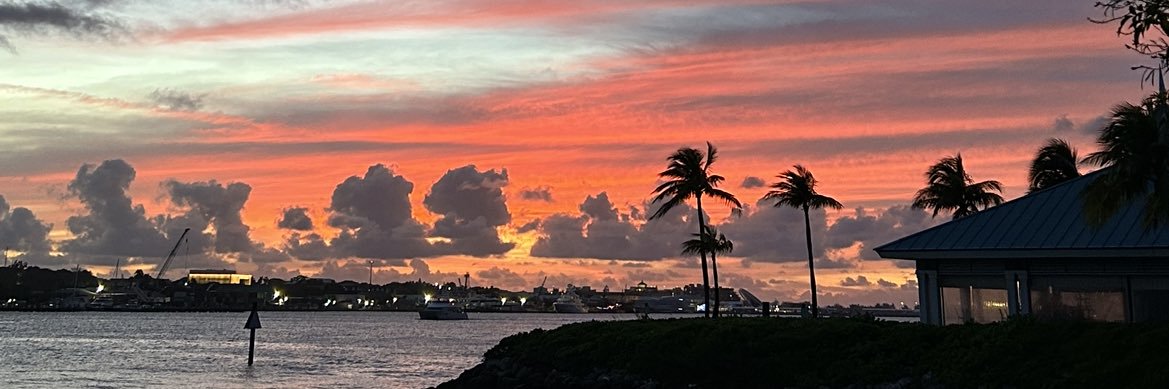 LichtAshley's profile banner image