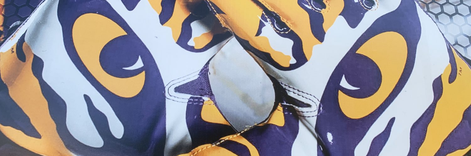 mdslsu's profile banner image