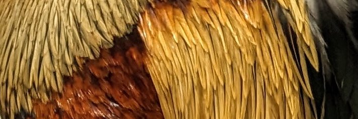 ethanmcdonald's profile banner image
