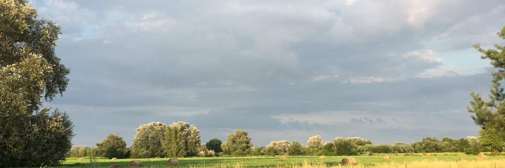 StLeszcz's profile banner image