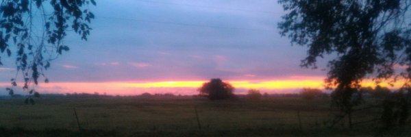 CharlyPotts Profile Banner