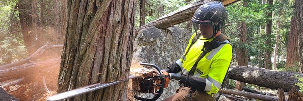 ArmDynamics Profile Banner