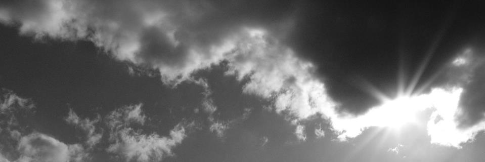 Premium Models banner