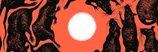 TDesie's profile banner image
